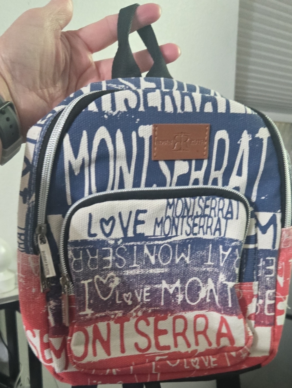 Printed Canvas Mini Backpack - Red, White & Blue